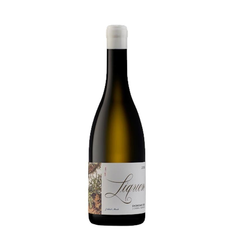 2021 Joao Cabral de Almeida Liquen Encruzado